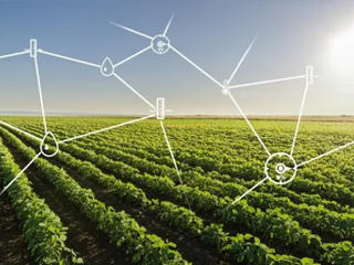 智慧農業(yè)解決方案